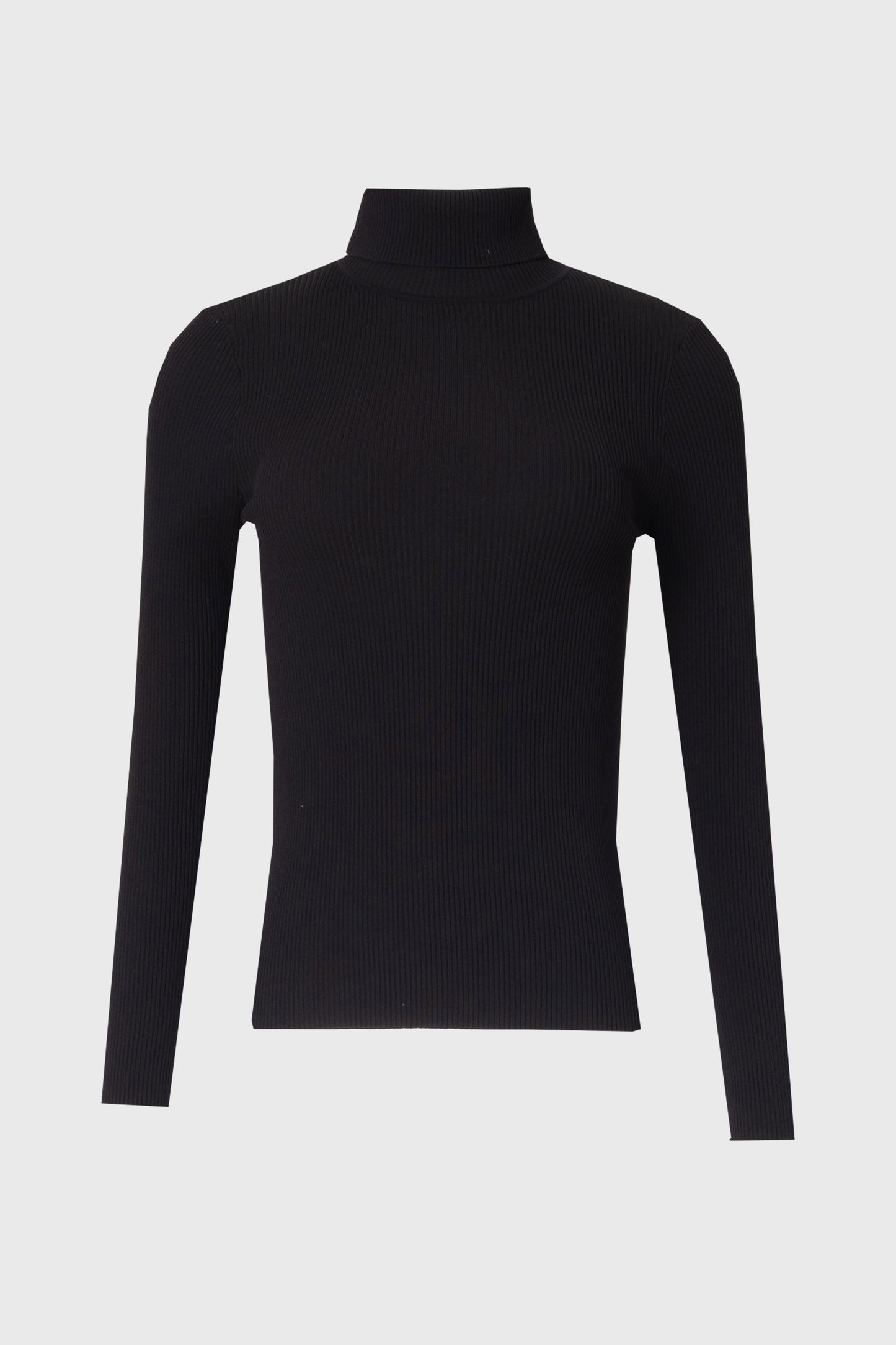 Black Basic Ribbed Knit Turtleneck