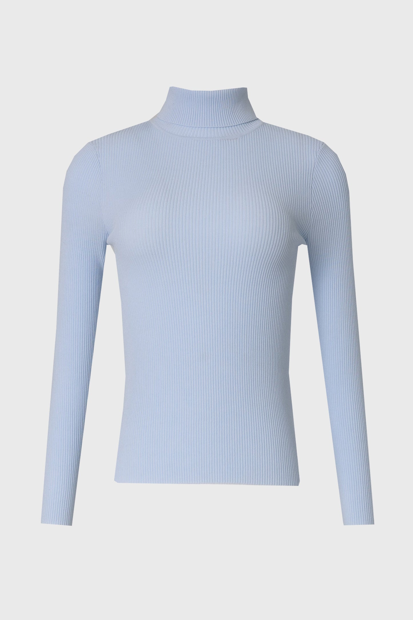 Blue Basic Ribbed Knit Turtleneck