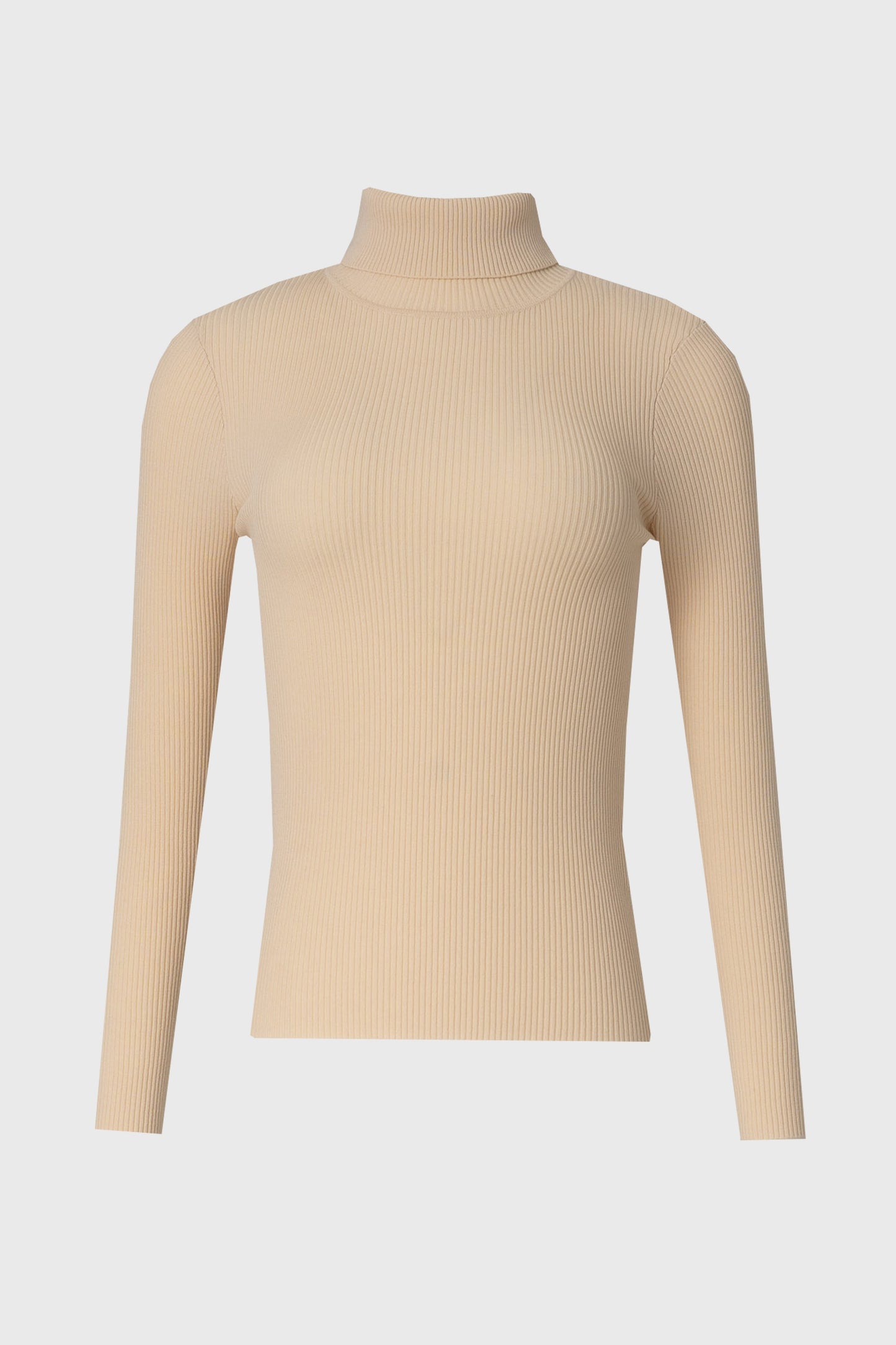 Bone Basic Ribbed Knit Turtleneck